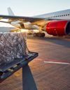 Air Cargo Safety Management (ACSM EN)