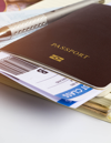 Traveller Identification Programme (TRIP EN) Strategy