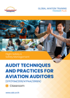 Audit Techniques and Practices for Aviation Auditors 