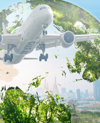 Fundamentals of International Aviation (FoIA EN) - Environment: Online