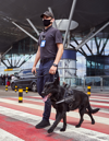 Airport Landside Security