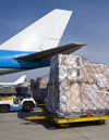 Introduction to Air Cargo Economics